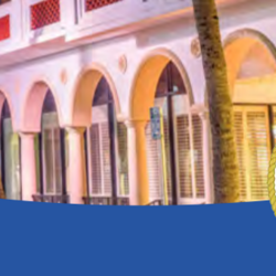 Annual Budget thumbnail icon